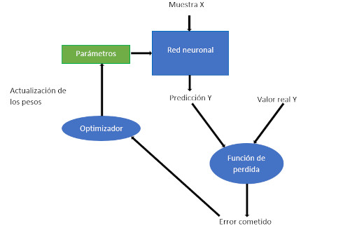Como entrenar una red neuronal ¿Como entrenar una red neuronal? Proceso de entrenamiento